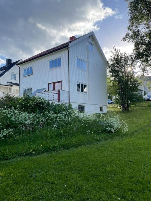 The Aurora Garden - 1Bedroom Apartment - Walking Distance From City Center Tromso Exterior photo