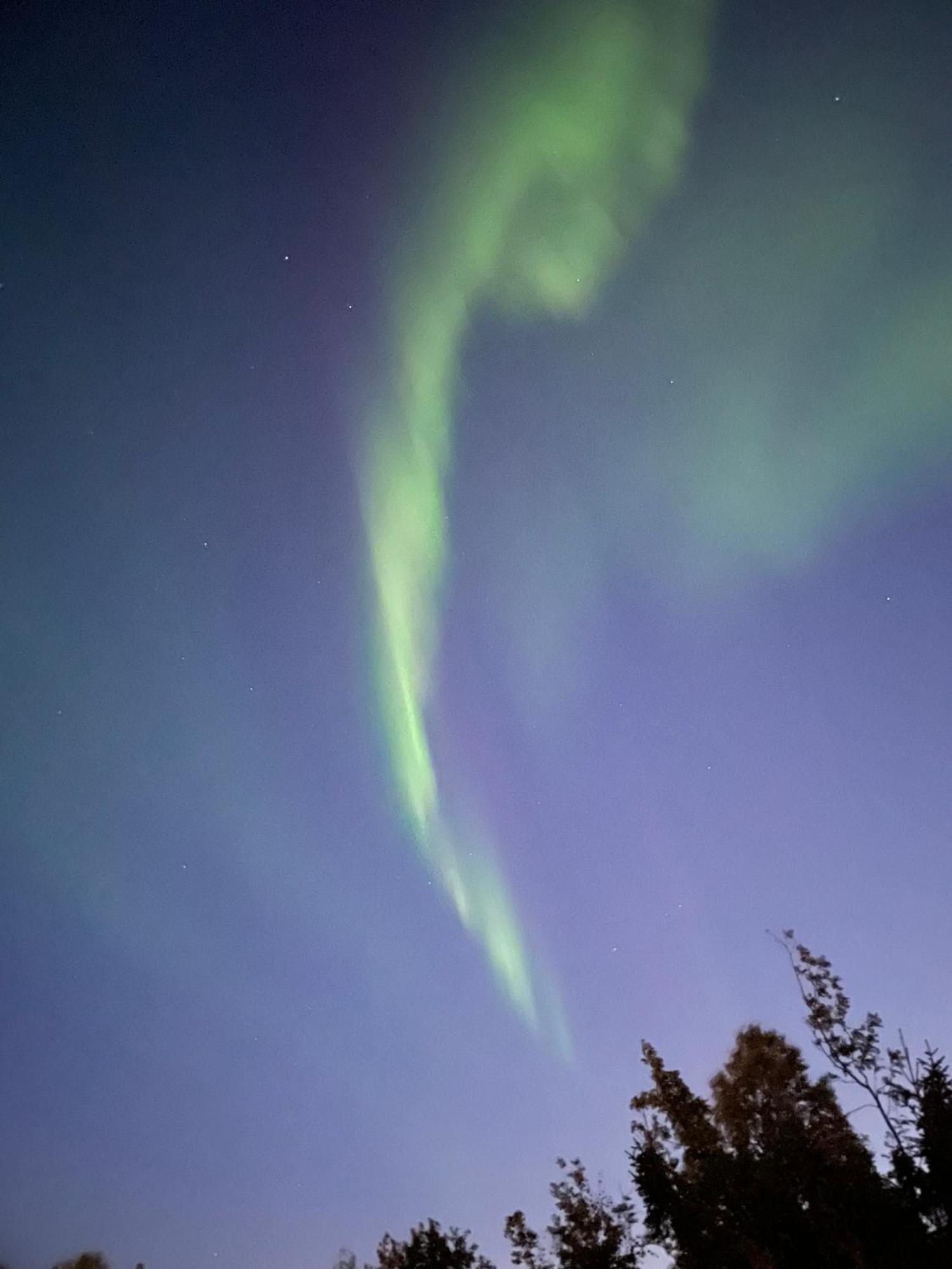 The Aurora Garden - 1Bedroom Apartment - Walking Distance From City Center Tromso Exterior photo