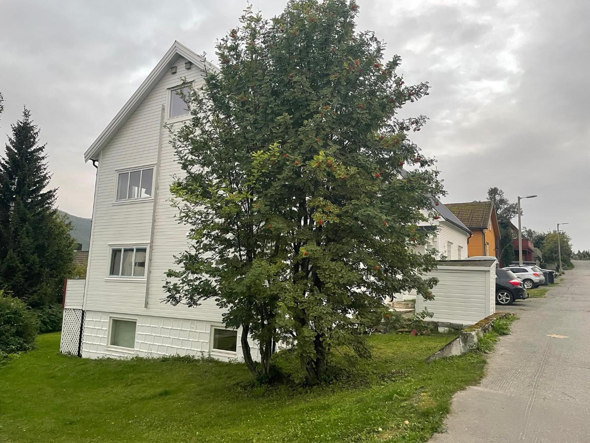 The Aurora Garden - 1Bedroom Apartment - Walking Distance From City Center Tromso Exterior photo